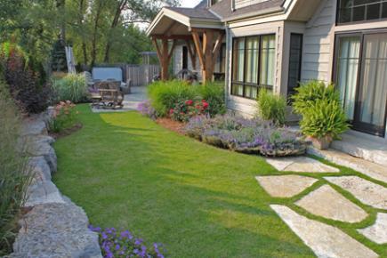 Turf in a backyard