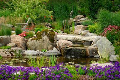 water garden and plants