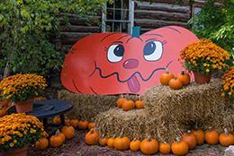 Fall display with pumpkins